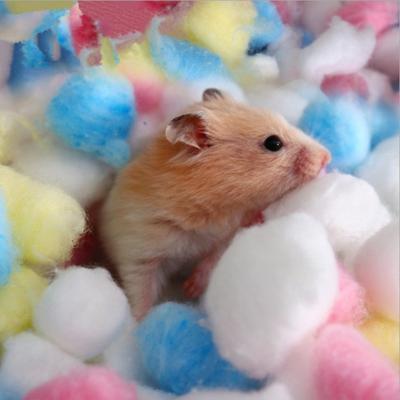 100 Stück Winter Hamsterkäfig Steppdecke Haustier Bunte Baumwollbälle Warme Saugfähige Baumwolle