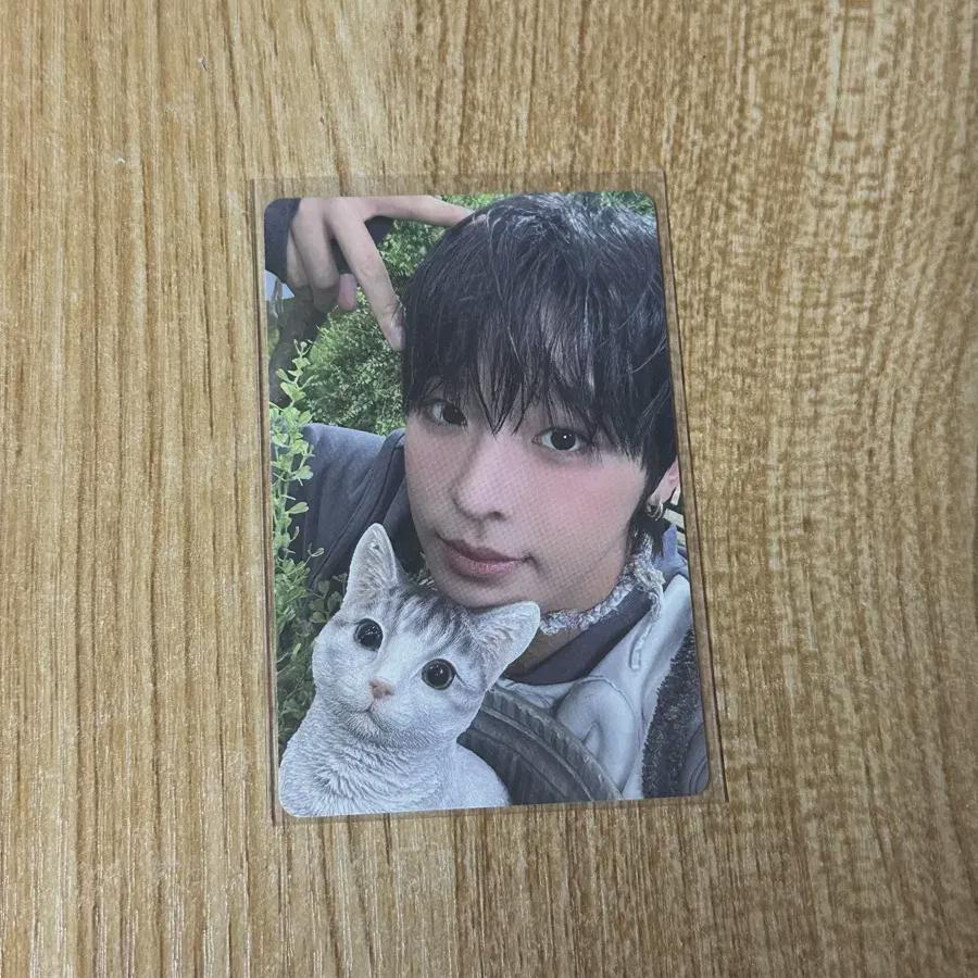 

Ncitywishriku Color Personal Jewel Album Photocard