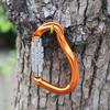 Pear-shaped Professional Carabiner 23KN Outdoor Sports Buckle  Outdoor Camping