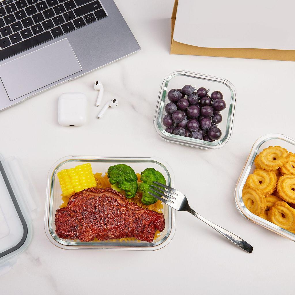 Borosilicate Glass Food Storage & Microwave Safe Bento Box Set