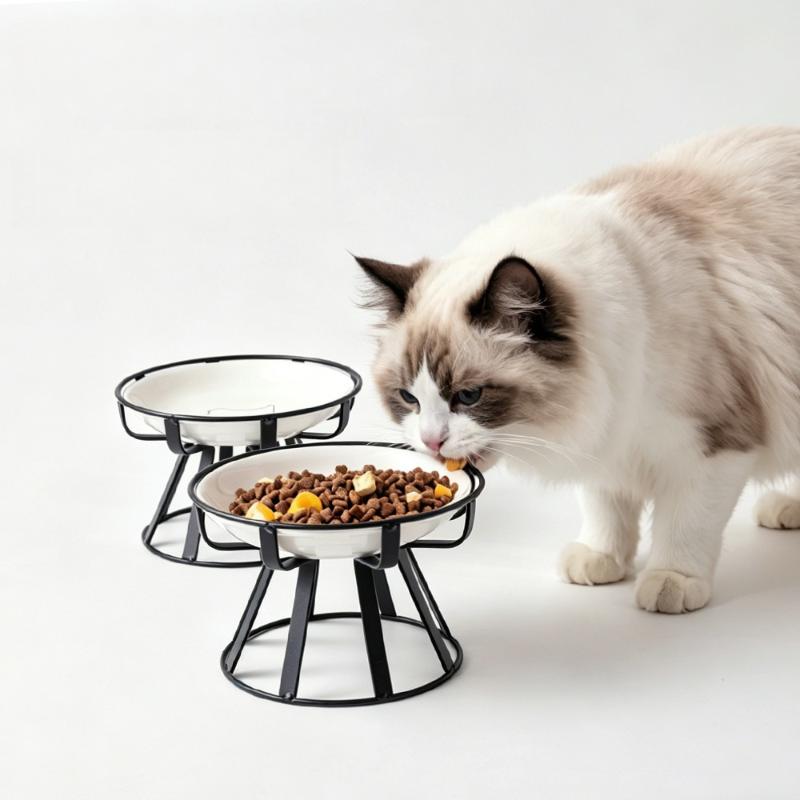 Ceramic Pet Food Bowl with Elevated Stand for Cats Dogs Stable Feeding 1/2Pcs Option