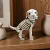 Skeleton Dog Figurine Distressed Resin Long-Lasting