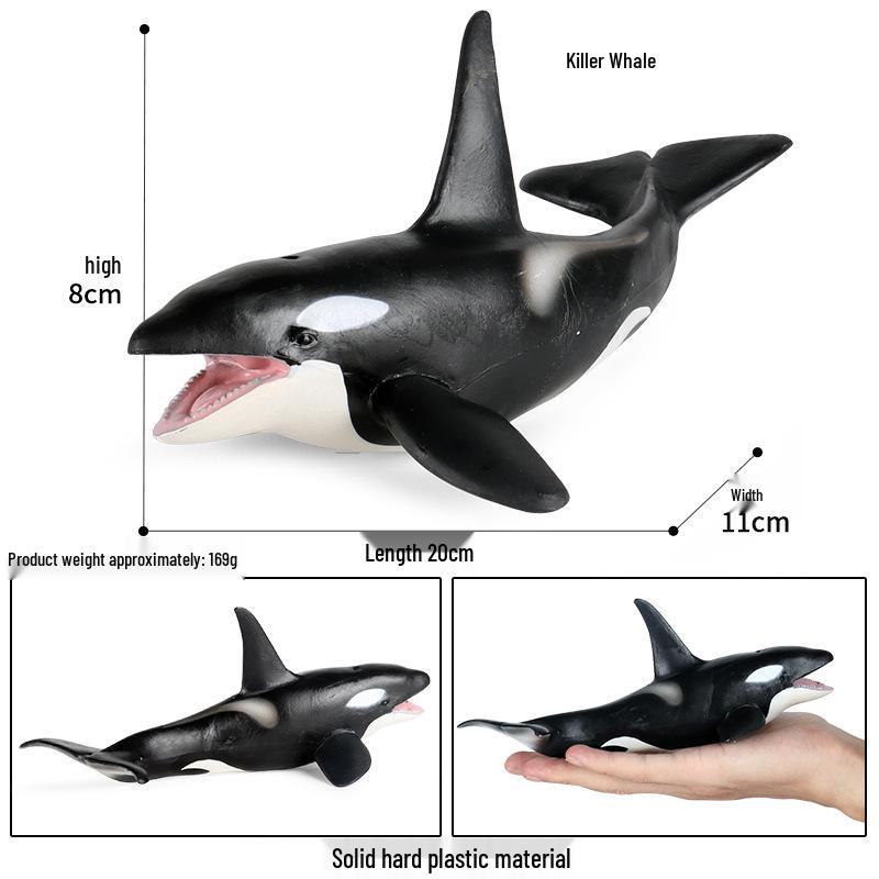 Orca Educational Simulation Toy for Kids – Killer Whale Model