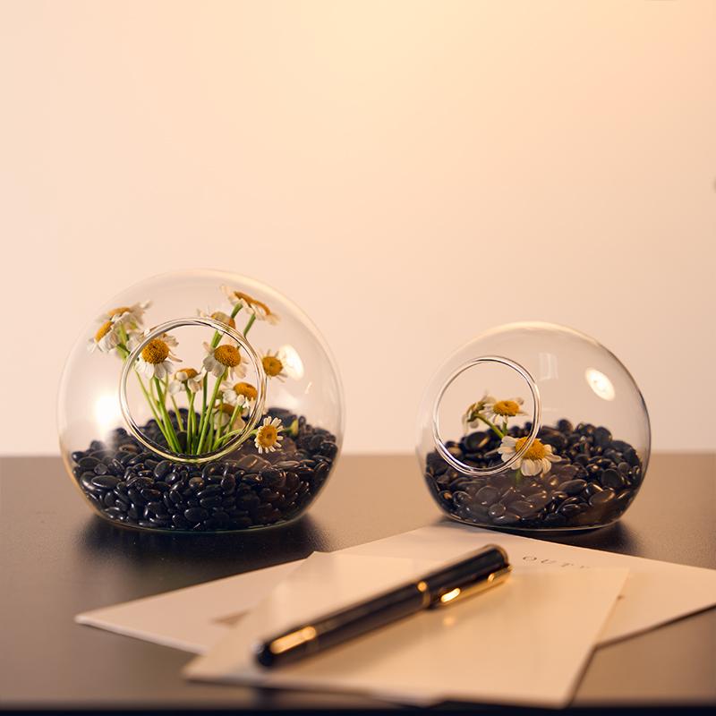 Semi-Circular Hydroponics Wall Decoration Glass Vase Wall Hanging Office