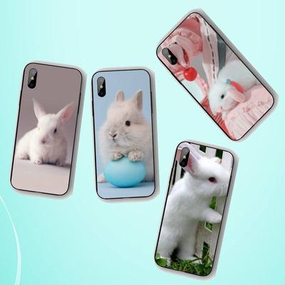 Cute Rabbit Phone Case For Iphone 11 12 13 Pro Max 5s 6s 7 8 Plus X Xr Xs Max Se 2020 13 Mini Case Cover