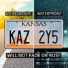Winchester Impala | Kaz 2Y5 + CNK 80Q3 | Metal Stamped License Plates