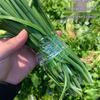 Leak-Proof Lunch Box Sealing Film for Freshness