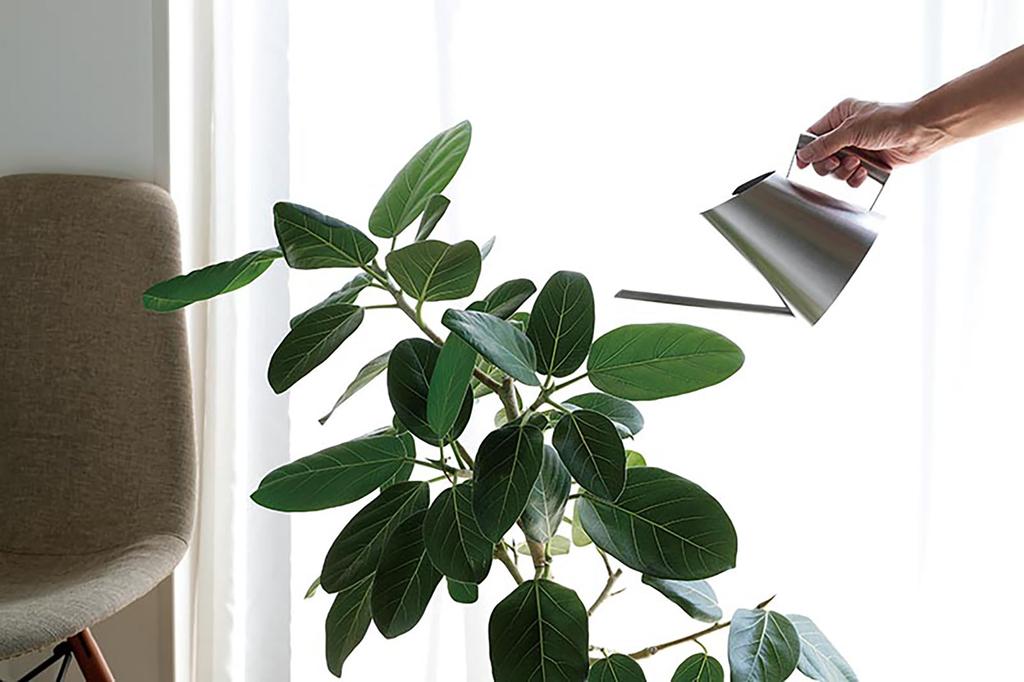 Sato Metal Industries SALUS Mitte Watering Can, Large, Stainless Steel, Silver, 239 x 127 x 170 mm, Capacity: 840 ml