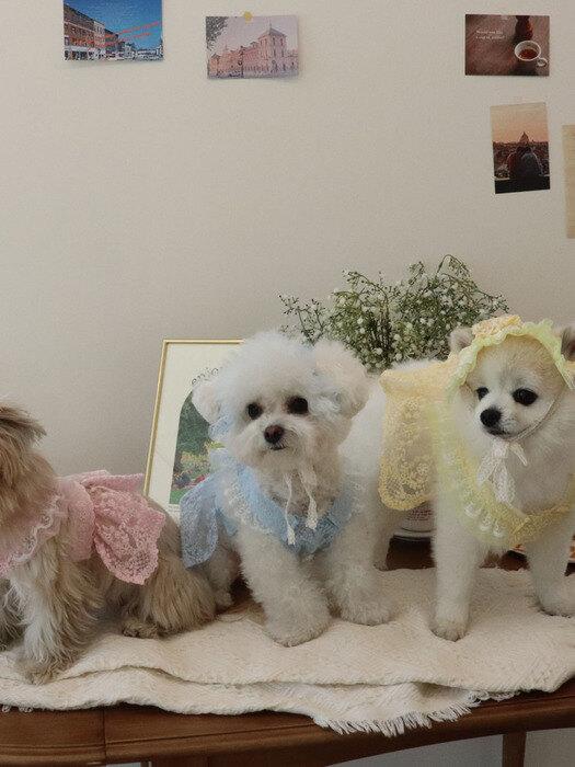 Haneul mung mung Tinker Bell Lace dress