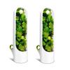 BHBL 2PCS Capsule Case Fresh-Keeping Box Cup Type Food Storage Container Vegetable Preservation for Dill Coriander