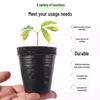 Large Disposable Thickened Plastic Seedling Pot for Planting