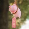 Car Rear View Mirror Pendant with Chinese Character Cute Swing Lucky Pig Piggy Hanging Ornament Auto Interior Decor