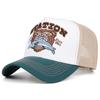 2025 Creative New Webhat SKYRIDER Airplane Street Dance Skateboarding Hip Hop Hat Truck Hat Outdoor Sports Sunshade Baseball Hat