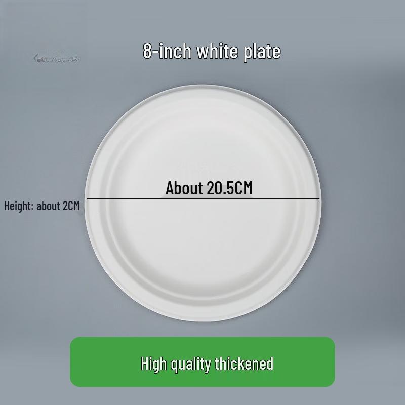 Disposable White Round Paper Plates (100-Pack)
