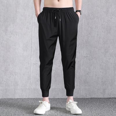 Summer Men's Ice Silk Cropped Pants with Elastic Small Legs Straight Through Closure Pants Sports Quick Drying Casual Pants