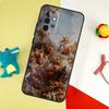 Renaissance Art Paint For Samsung Galaxy A55 A35 A15 A54 A34 A14 A53 A33 A13 A05 A06 A16 A22 A32 A52 Phone Case
