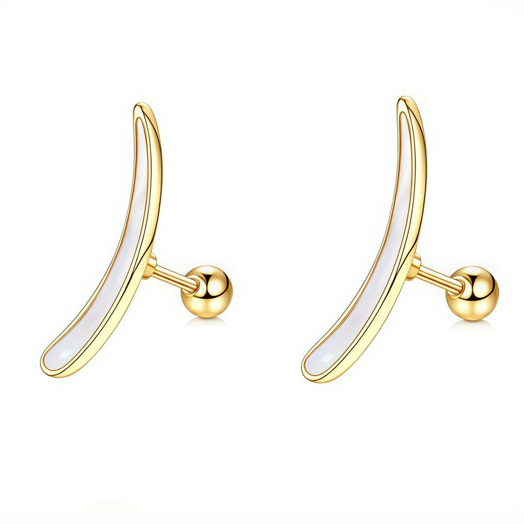 2Pcs 16G Stainless Steel Screw Back Stud Earrings for Women,Cubic Zerconia Cartilage Conch Helix Ear Piercing Jewelry