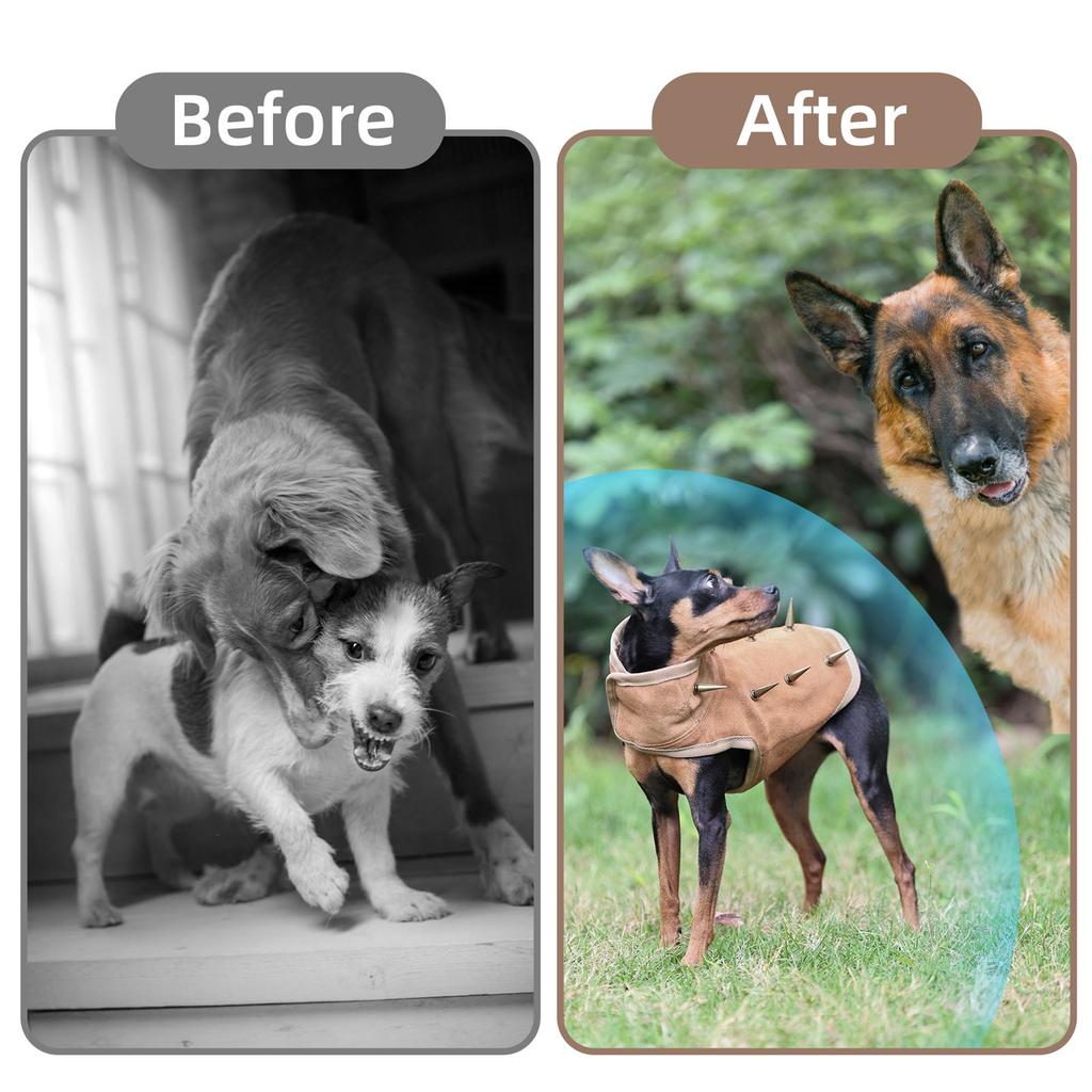 High Strength Tear Resistant Protective Vest For Small Dogs Lightweight Breathable Mesh Design Outdoor Safety Gear