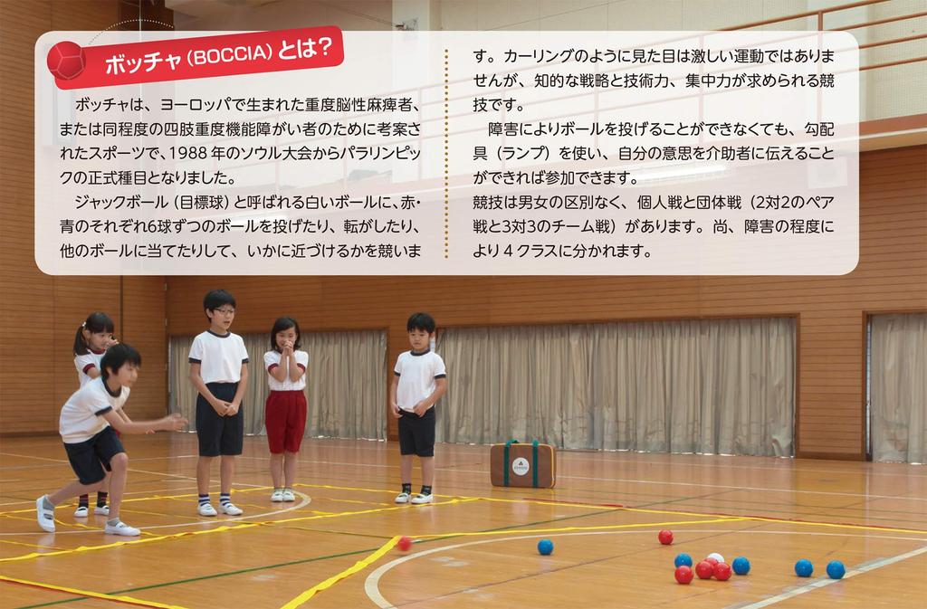 Sanwa UniBoccia Rotoro Boccia Set with Storage Case