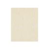 French Rose Knee Socks (Ivory)