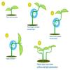 60Pcs Plant Branches Bender 360 Degree Adjustable Plant Support for Low Stress Plant Training Garden Holder Plant Bender