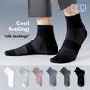 Silk Stockings for Men with Antibacterial and Deodorizing Properties. Ultra-thin Ice-silk Stockings.