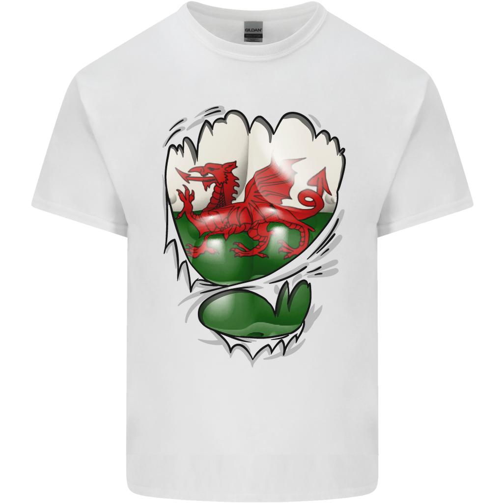 Gym The Welsh Flag Ripped Muscles Wales Unisexs Light Cotton TShirt