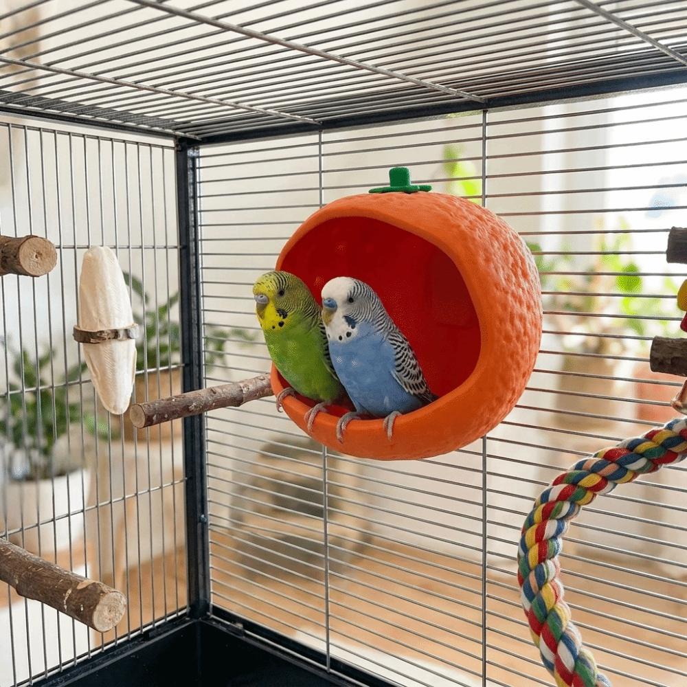 Wall Hanging Bird Cage Nest Orange-shaped Sleeping Nest Universal Parrot Food Box Cage Accessories