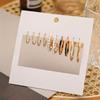 IF ME Trendy Geometirc Gold Round Hoop Earrings Set For Women Big Leopard Resin Hoop Earrings Accessories Jewelry Party