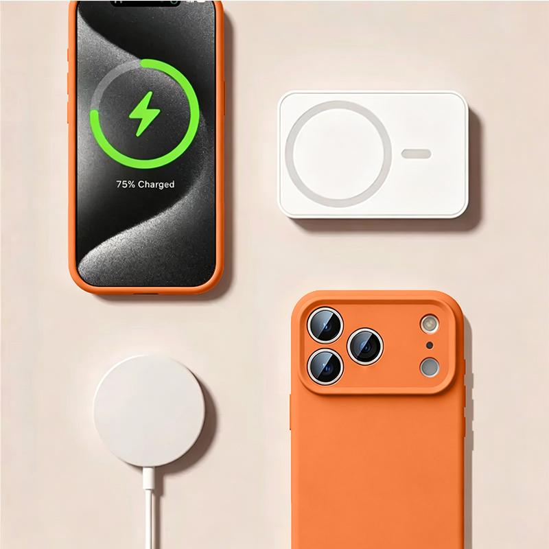 Colorful Skeleton Pattern Case For iPhone 17 Pro Max Magnetic For Magsafe Liquid Silicone Cover For iPhone 16 15 14 13 Pro Max