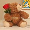 New Flower Gift Bear Doll Teddy Bear Plush Toy Cute Bed Holding Sleeping Bear Doll Girl
