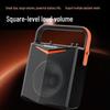 GAV K1 6.5-inch Portable Bluetooth Karaoke Speaker
