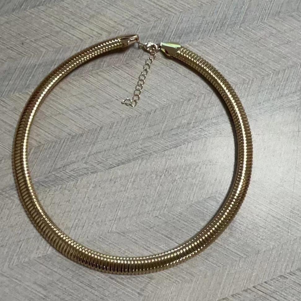 Europäische & Amerikanische Frühjahrs-Breite Schlangenkette: Minimalistische Elastische Schlüsselbein-Halskette - Übertriebenes Vintage-Metall-Design