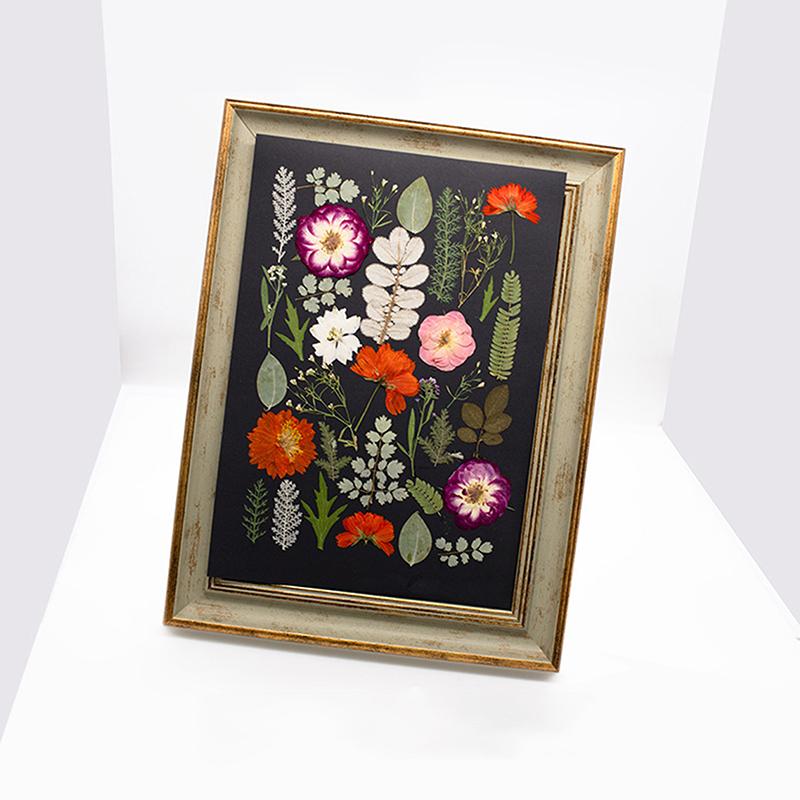 Dry Embossed Flower Diy Hand-Drop Glue Photo Frame Decorative Real Flower Plant Specimen Dried Flower Materials