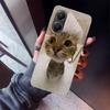 Pet Cat Funny Memes Phone Case For Xiaomi Poco X5 X6 X7 Pro F7 Ultra M7 Redmi 15C 15 13C 13 12C 12 10 10C 10A 9 9C 9T 9A Cover P