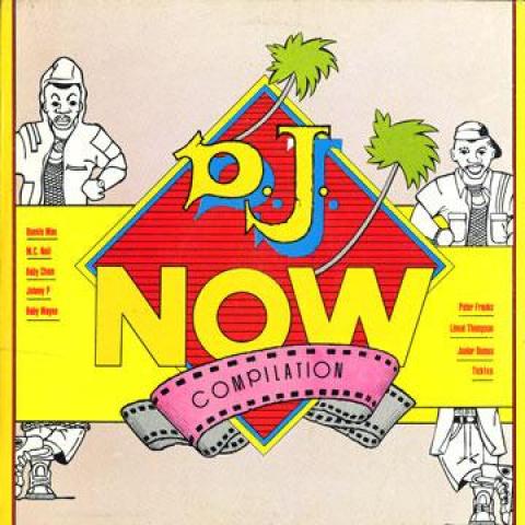 

LP Record VARIOUS - DJ Now LP65255 Shelly Power 1994 Canada Reggae, Ska & Dub