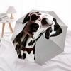 1pc Dalmatian Sunglasses Open/Close Folding Umbrella, All- Portable Umbrella for & Men, Stylish Accessory (Holiday Gift) 8-Rib yy251213198