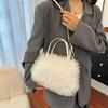 Autumn and Winter New Furry Bag Fur Crossbody Shoulder Strap Plush Bag Versatile Large Capacity Handbag for Women