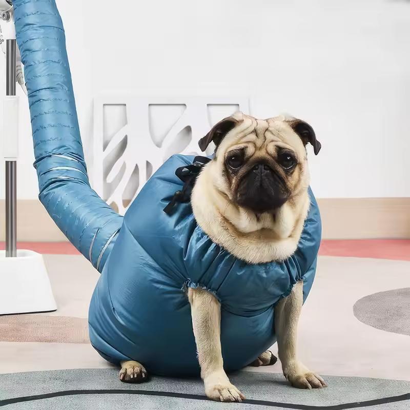 Câini de companie Pungi de uscare Uscător Suflantă de păr Rapid Portabil Pliabil Geantă de toaletare Uz casnic Suflare rapidă Apă Pentru câini mari mici