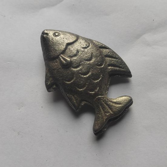 1/2/3Pcs Cast Iron Fish Cooking Tool Add Natural Sources of Iron To Food Water Reduce Risk of Iron Deficiency Dietary Solution for Vegans Athletes