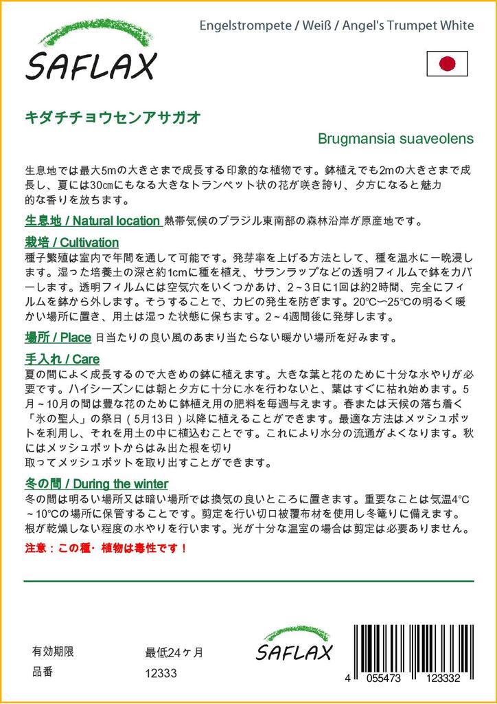SAFLAX Angel's Trumpet White - 10 Seeds - Brugmansia Suaveolens