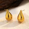 Europe United States Hot New Luxury High-End Stainless Steel Geometric Shape Earrings Multi-Style Fashion Hoop Earings