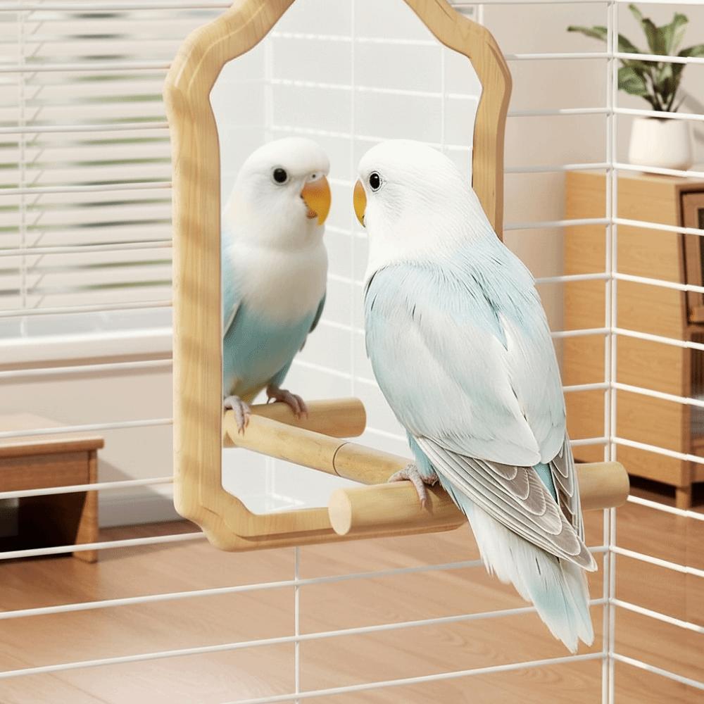 Wear-Resisting Bird Mirror Perch Bite-Resistance Parrot Platform Stand Parrot Mirror Toy Playing