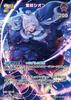 2nd Murasaki Shion (UR) {HO-hBP02-047UR-02}