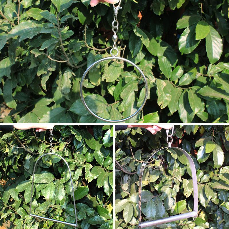 Hanging Birds Swing Stainless Steel Perch Stand Paw Grinding Toy for Parrot Cockatiel Budgie Macaw African Grey