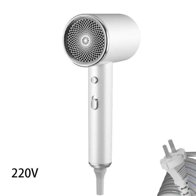 

Ttype Hair Dryer White Gray Highpower 1800w Quick Drying 220v Household