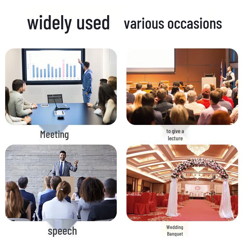 SANSUI K40B Wireless 1-to-4 Conference Microphone System CN plug (adapter included)