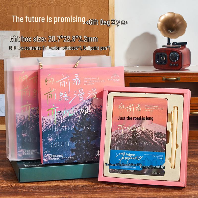 New Year Gift Box: Notebook Set for Students - Diary & Simple Planner with Hot Stamping