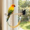 Bite Resistant Parrot Climbing Perch Suction Cup Hanging Bird Swing Bird Swing Toy  Bird Cages