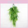 Plant Latiusculum Pteridium For Wedding And Outdoor Events Decorate